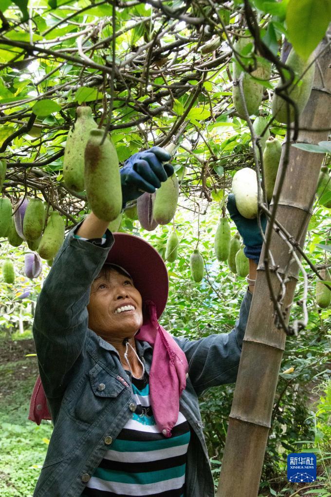 菠菜论坛社区